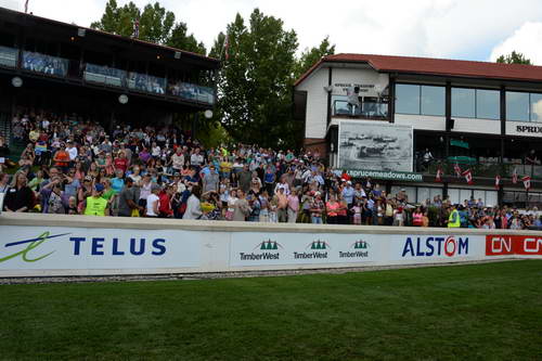 Spruce-Meadows2-9-8-13-3832-PieterDevos-DDeRosaPhoto