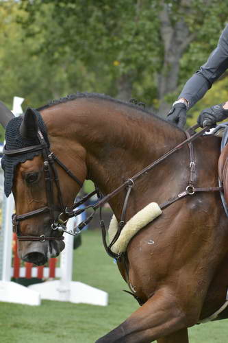 Spruce-Meadows-9-5-13-9702-KevinStaut-QuismyDesVauxHDC-FRA-DDeRosaPhoto