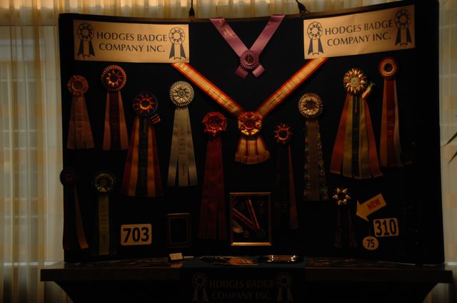 008-USEF-1-11-08-DDeRosaPhoto.jpg