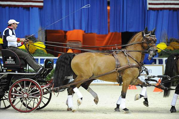 10-24-08-WIHS-755-DeRosaPhoto