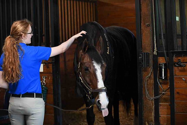 USHJA-EAP-7-12-18-5079-DDeRosaPhoto