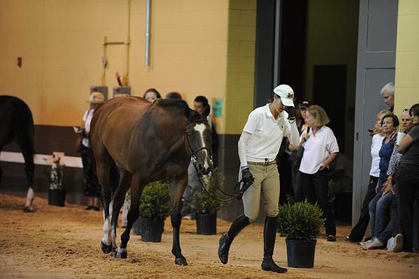 USHJA-Derby-8-19-10-Jog-DER_6962-DDeRosaPhoto.JPG