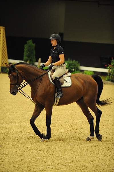 USHJA-Derby-8-19-10-Schooling-DER_6699-DDeRosaPhoto.JPG