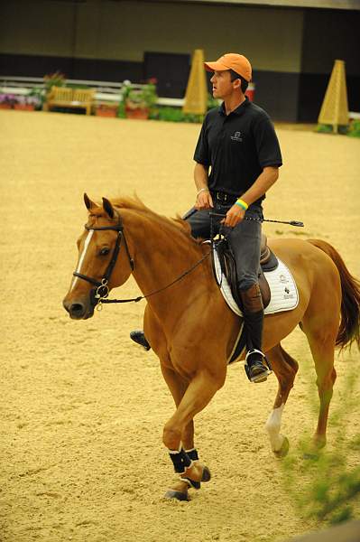 USHJA-Derby-8-19-10-Schooling-DER_6701-DDeRosaPhoto.JPG