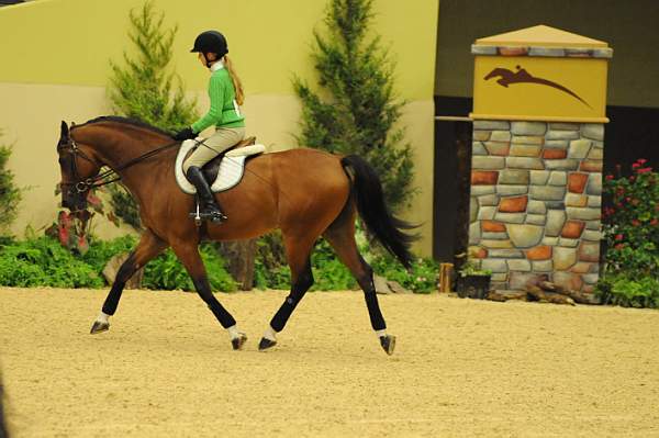 USHJA-Derby-8-19-10-Schooling-DER_6708-DDeRosaPhoto.jpg