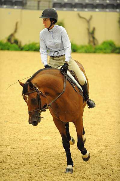 USHJA-Derby-8-19-10-Schooling-DER_6775-DDeRosaPhoto.JPG