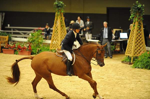 USHJA-Derby-8-20-10-DER_7547-QRnd1-DueWest-ShaneSweetnam-DDeRosaPhoto.jpg