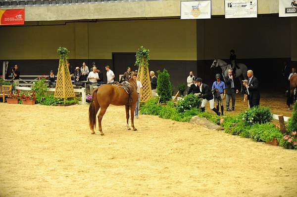 USHJA-Derby-8-20-10-DER_7566-QRnd1-DueWest-ShaneSweetnam-DDeRosaPhoto.jpg