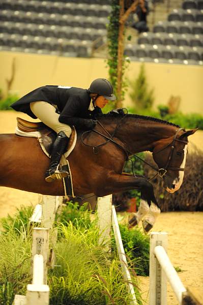 USHJA-Derby-8-20-10-DER_7636-QRnd1-Valient-TammyProvost-DDeRosaPhoto.jpg