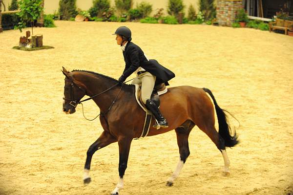 USHJA-Derby-8-20-10-DER_7647-QRnd1-Valient-TammyProvost-DDeRosaPhoto.jpg