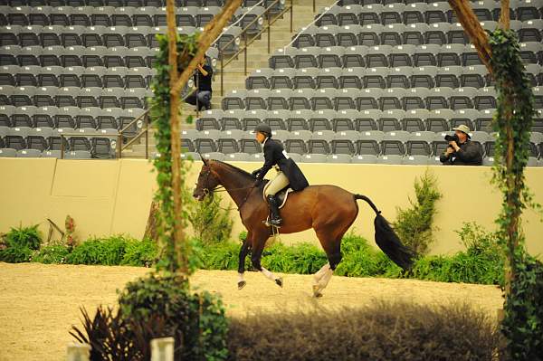 USHJA-Derby-8-20-10-DER_7652-QRnd1-Valient-TammyProvost-DDeRosaPhoto.jpg