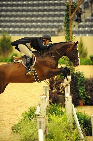 USHJA-Derby-8-20-10-DER_7655-QRnd1-Valient-TammyProvost-DDeRosaPhoto.jpg