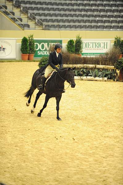 USHJA-Derby-8-20-10-DER_7670-QRnd7670-Ebony-RachelKennedy-DDeRosaPhoto.jpg