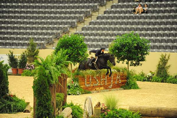 USHJA-Derby-8-20-10-DER_7681-QRnd1-Ebony-RachelKennedy-DDeRosaPhoto.jpg