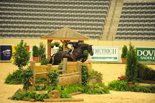 USHJA-Derby-8-20-10-DER_7685-QRnd1-Ebony-RachelKennedy-DDeRosaPhoto.jpg