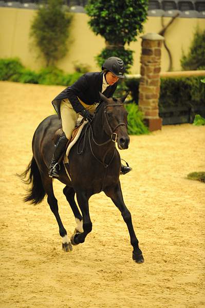 USHJA-Derby-8-20-10-DER_7687-QRnd1-Ebony-RachelKennedy-DDeRosaPhoto.jpg