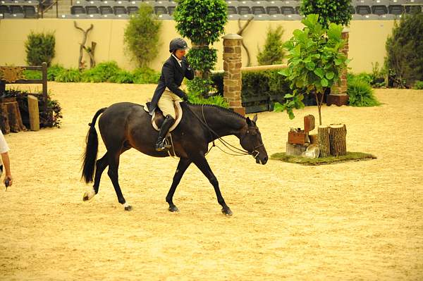 USHJA-Derby-8-20-10-DER_7692-QRnd1-Ebony-RachelKennedy-DDeRosaPhoto.jpg