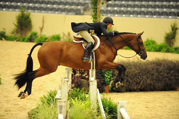 USHJA-Derby-8-20-10-DER_7701-QRnd1-Poetic-MaggieBoylan-DDeRosaPhoto.jpg