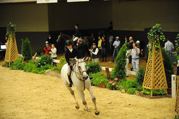 USHJA-Derby-8-20-10-DER_7751-QRnd1-CCoastZ-LillieKeenan-DDeRosaPhoto.jpg