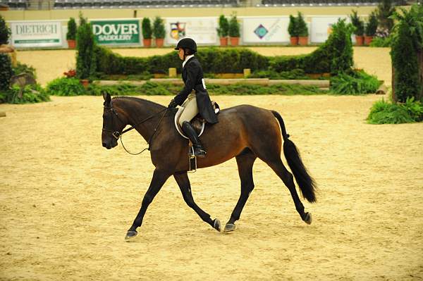 USHJA-Derby-8-20-10-DER_7818-QRnd1-YesIndeed-SarahMechlin-DDeRosaPhoto.jpg