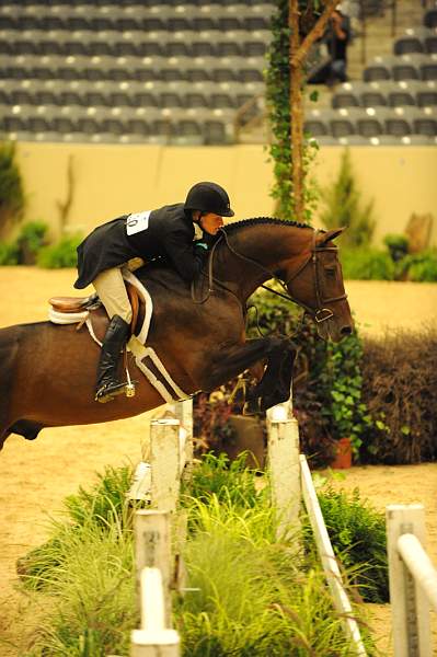 USHJA-Derby-8-20-10-DER_7882-QRnd1-TimberRidge-KelleyFarmer-DDeRosaPhoto.jpg