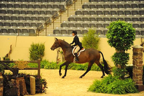 USHJA-Derby-8-20-10-DER_7884-QRnd1-TimberRidge-KelleyFarmer-DDeRosaPhoto.jpg