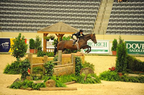 USHJA-Derby-8-20-10-DER_7894-QRnd1-TimberRidge-KelleyFarmer-DDeRosaPhoto.jpg