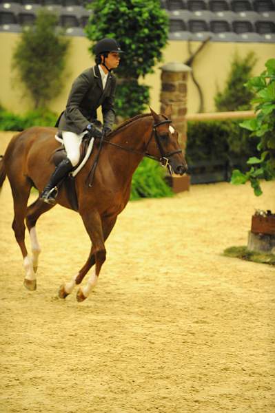 USHJA-Derby-8-20-10-DER_7943-QRnd1-Alamo-ChaseBoggio-DDeRosaPhoto.jpg