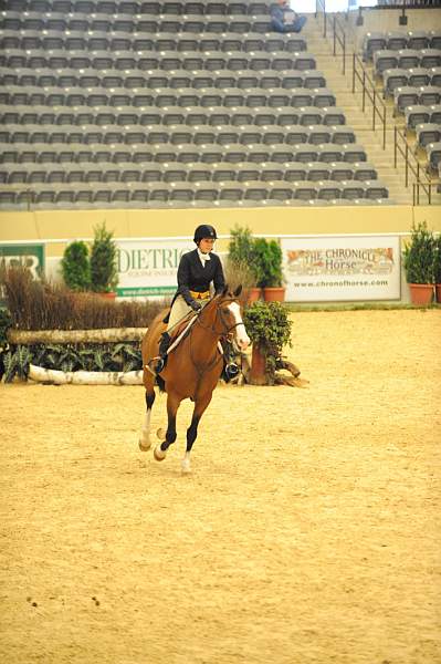 USHJA-Derby-8-20-10-DER_7991-QRnd1-Onassis-SarahWard-DDeRosaPhoto.jpg