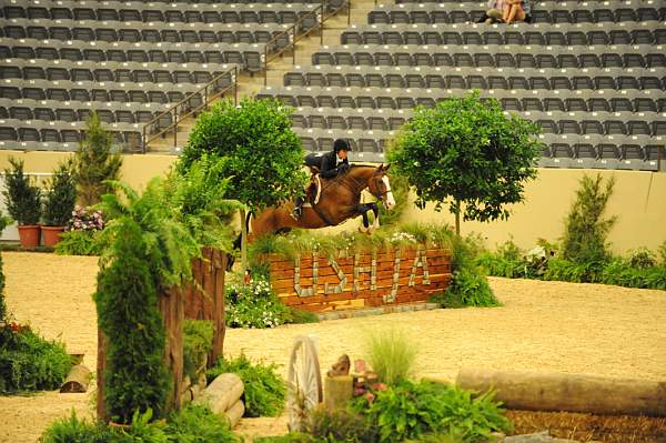 USHJA-Derby-8-20-10-DER_7997-QRnd1-Onassis-SarahWard-DDeRosaPhoto.jpg