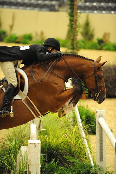 USHJA-Derby-8-20-10-DER_8056-QRnd1-BasesLoaded-KelleyFarmer-DDeRosaPhoto.jpg