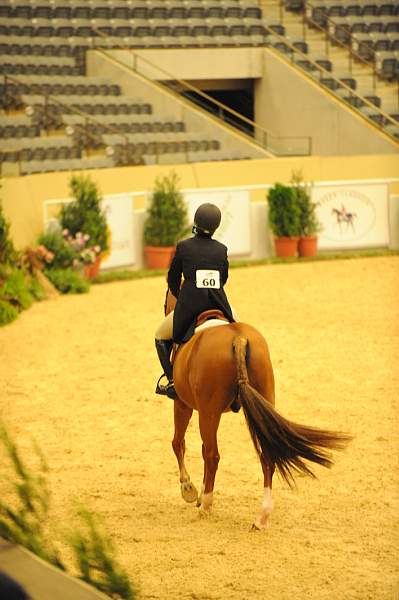 USHJA-Derby-8-20-10-DER_8060-QRnd1-SugarBoy-TammyProvost-DDeRosaPhoto.jpg