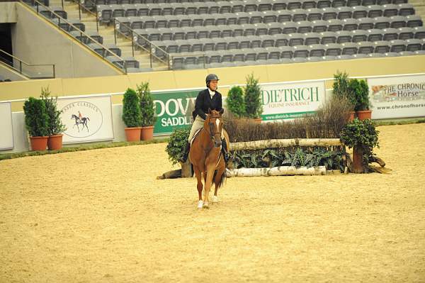 USHJA-Derby-8-20-10-DER_8066-QRnd1-SugarBoy-TammyProvost-DDeRosaPhoto.jpg