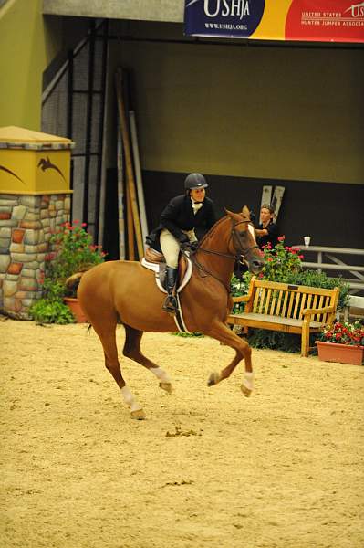 USHJA-Derby-8-20-10-DER_8072-QRnd1-SugarBoy-TammyProvost-DDeRosaPhoto.jpg