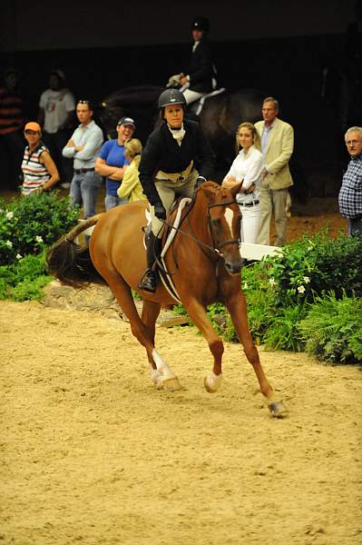 USHJA-Derby-8-20-10-DER_8073-QRnd1-SugarBoy-TammyProvost-DDeRosaPhoto.jpg