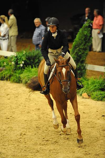 USHJA-Derby-8-20-10-DER_8074-QRnd1-SugarBoy-TammyProvost-DDeRosaPhoto.jpg