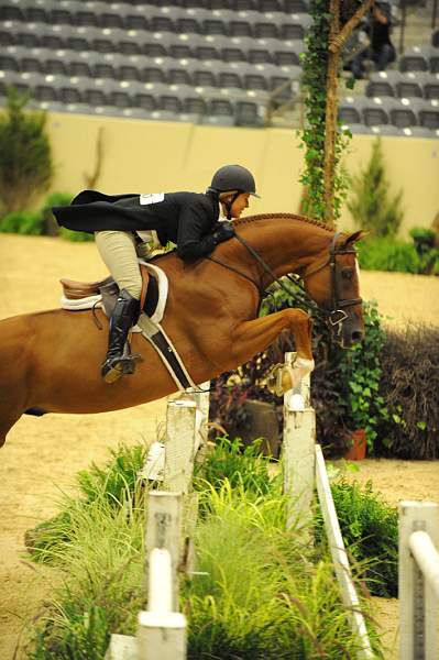 USHJA-Derby-8-20-10-DER_8081-QRnd1-SugarBoy-TammyProvost-DDeRosaPhoto.jpg