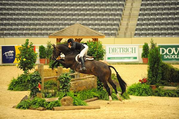 USHJA-Derby-8-20-10-DER_8142-QRnd1-Blackstone-TomBrennan-DDeRosaPhoto.jpg