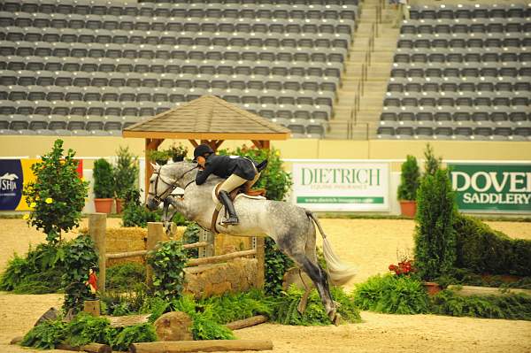 USHJA-Derby-8-20-10-DER_8173-QRnd1-CoolBoy-AbigailBlankenship-DDeRosaPhoto.jpg