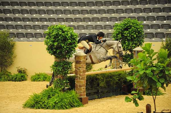 USHJA-Derby-8-20-10-DER_8175-QRnd1-CoolBoy-AbigailBlankenship-DDeRosaPhoto.jpg