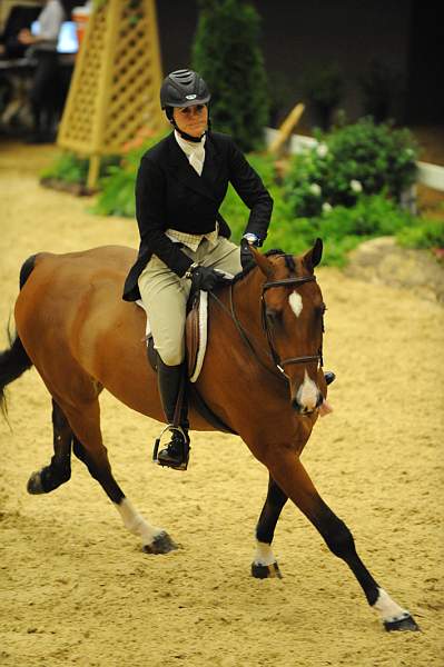 USHJA-Derby-8-20-10-DER_8227-QRnd1-CR Haribo-ColleenAcosta-DDeRosaPhoto.jpg