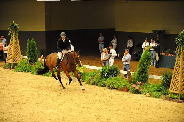 USHJA-Derby-8-20-10-DER_8268-QRnd1-Lonestar-HuntTosh-DDeRosaPhoto.jpg