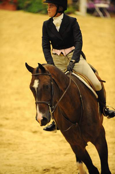 USHJA-Derby-8-20-10-DER_8338-QRnd1-DailyDevotion-JessicaWarren-DDeRosaPhoto.jpg