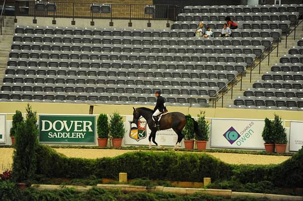 USHJA-Derby-8-20-10-DER_8420-QRnd1-Declaration-ScottStewart-DDeRosaPhoto.jpg