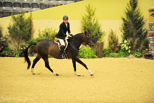 USHJA-Derby-8-20-10-DER_8431-QRnd1-Declaration-ScottStewart-DDeRosaPhoto.jpg