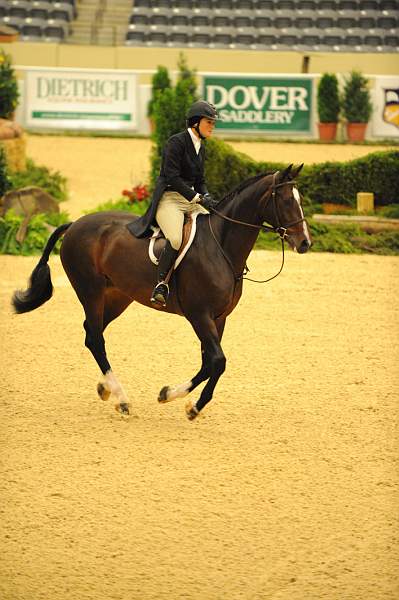 USHJA-Derby-8-20-10-DER_8447-QRnd1-Posse-ColleenAcosta-DDeRosaPhoto.jpg