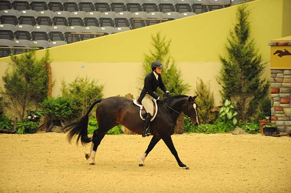 USHJA-Derby-8-20-10-DER_8453-QRnd1-Posse-ColleenAcosta-DDeRosaPhoto.jpg