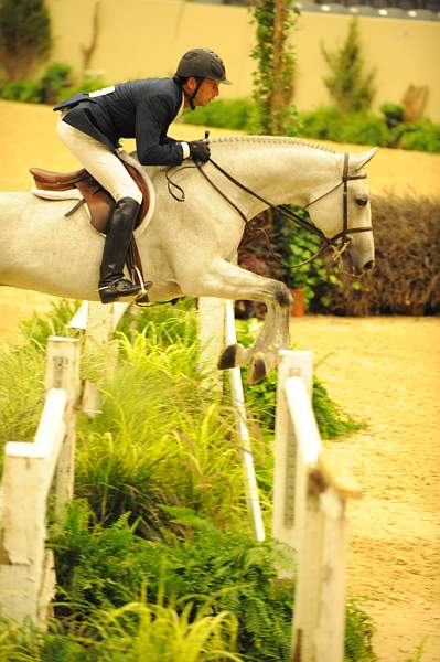 USHJA-Derby-8-20-10-DER_8464-QRnd1-RextheWonderHorse-RichardRhinehart-DDeRosaPhoto.jpg