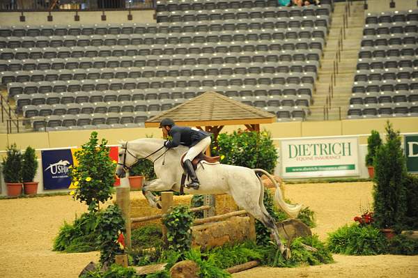 USHJA-Derby-8-20-10-DER_8472-QRnd1-RextheWonderHorse-RichardRhinehart-DDeRosaPhoto.jpg