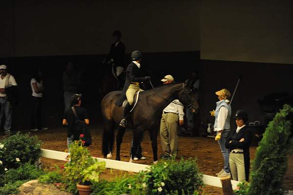 USHJA-Derby-8-20-10-DER_8476-QRnd1-DDeRosaPhoto.jpg